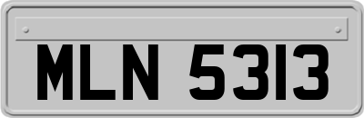 MLN5313