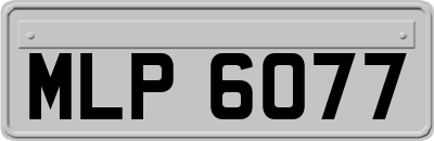 MLP6077