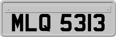 MLQ5313