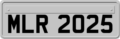 MLR2025
