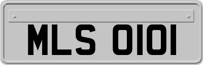 MLS0101
