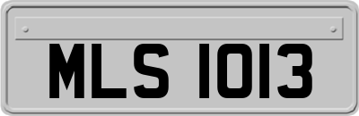 MLS1013