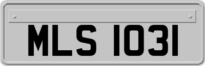 MLS1031