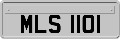 MLS1101