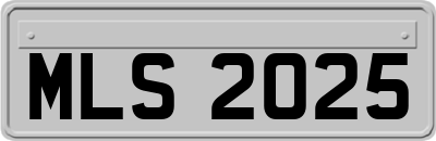 MLS2025