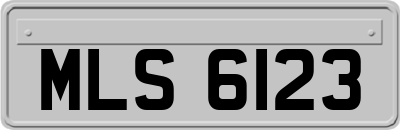 MLS6123