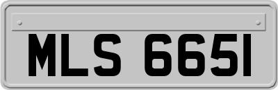 MLS6651