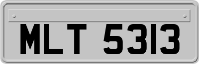 MLT5313