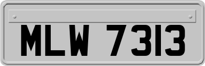 MLW7313