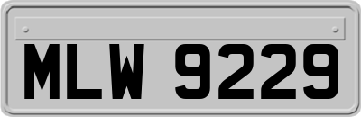 MLW9229