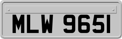 MLW9651