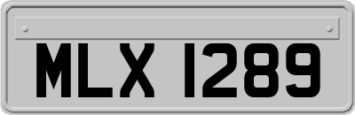 MLX1289