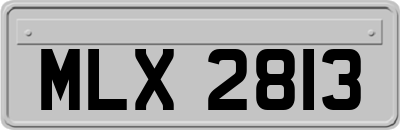 MLX2813
