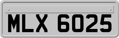 MLX6025