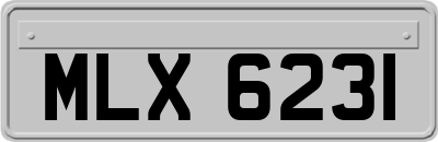 MLX6231