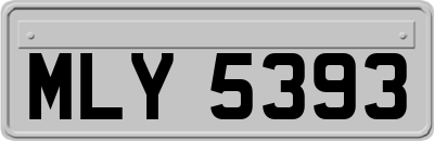 MLY5393