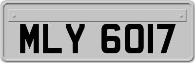 MLY6017
