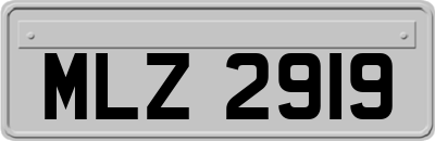 MLZ2919