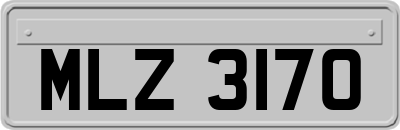 MLZ3170