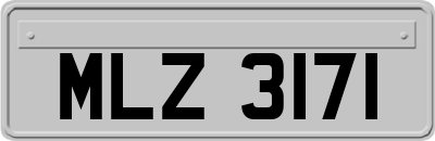 MLZ3171