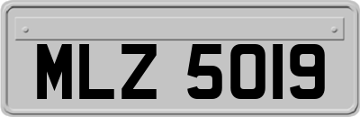 MLZ5019