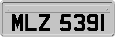 MLZ5391