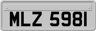 MLZ5981