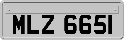 MLZ6651
