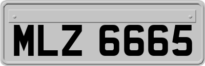 MLZ6665