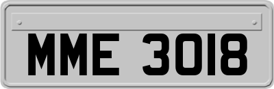 MME3018