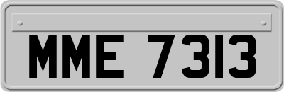 MME7313