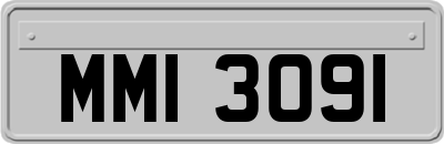 MMI3091