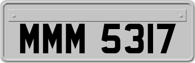 MMM5317