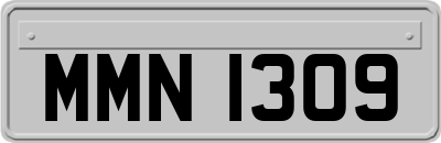 MMN1309