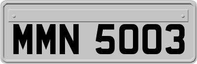 MMN5003