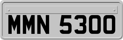 MMN5300