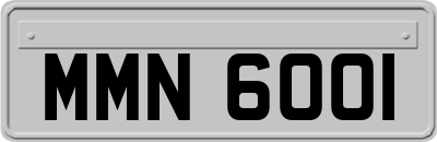 MMN6001