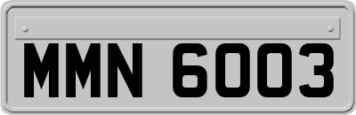 MMN6003