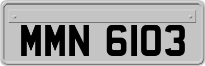 MMN6103