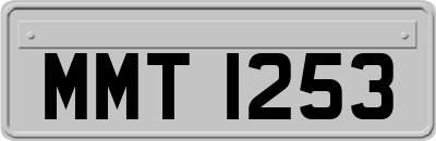 MMT1253