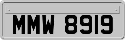 MMW8919