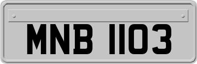 MNB1103