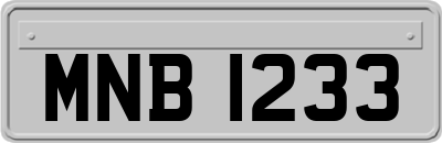 MNB1233