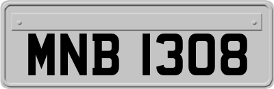 MNB1308