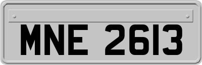 MNE2613