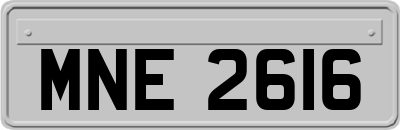 MNE2616