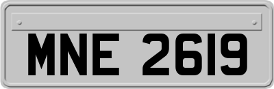 MNE2619