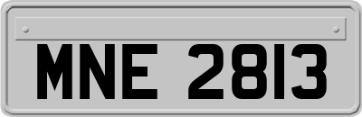 MNE2813