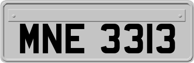 MNE3313