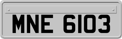 MNE6103